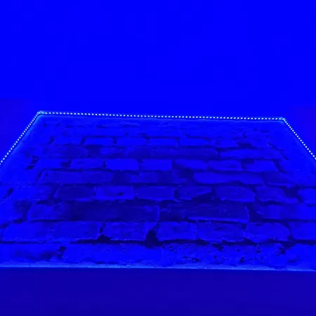 Lejlighed Przy Starowce *